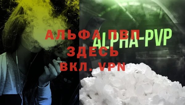 ПСИЛОЦИБИНОВЫЕ ГРИБЫ Зеленодольск