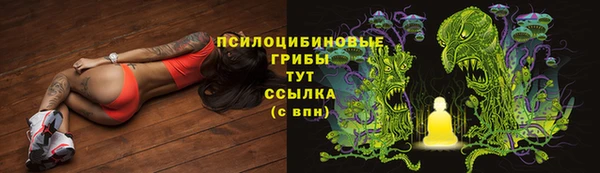 ПСИЛОЦИБИНОВЫЕ ГРИБЫ Зеленодольск