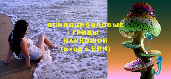 крисы Зерноград