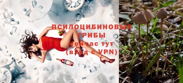 крисы Зерноград
