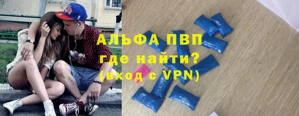 крисы Зерноград