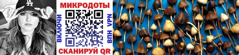 Псилоцибиновые грибы Magic Shrooms  Болхов 